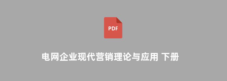 电网企业现代营销理论与应用 下册